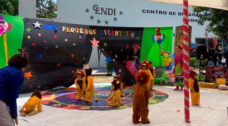 Actividades CENDI
